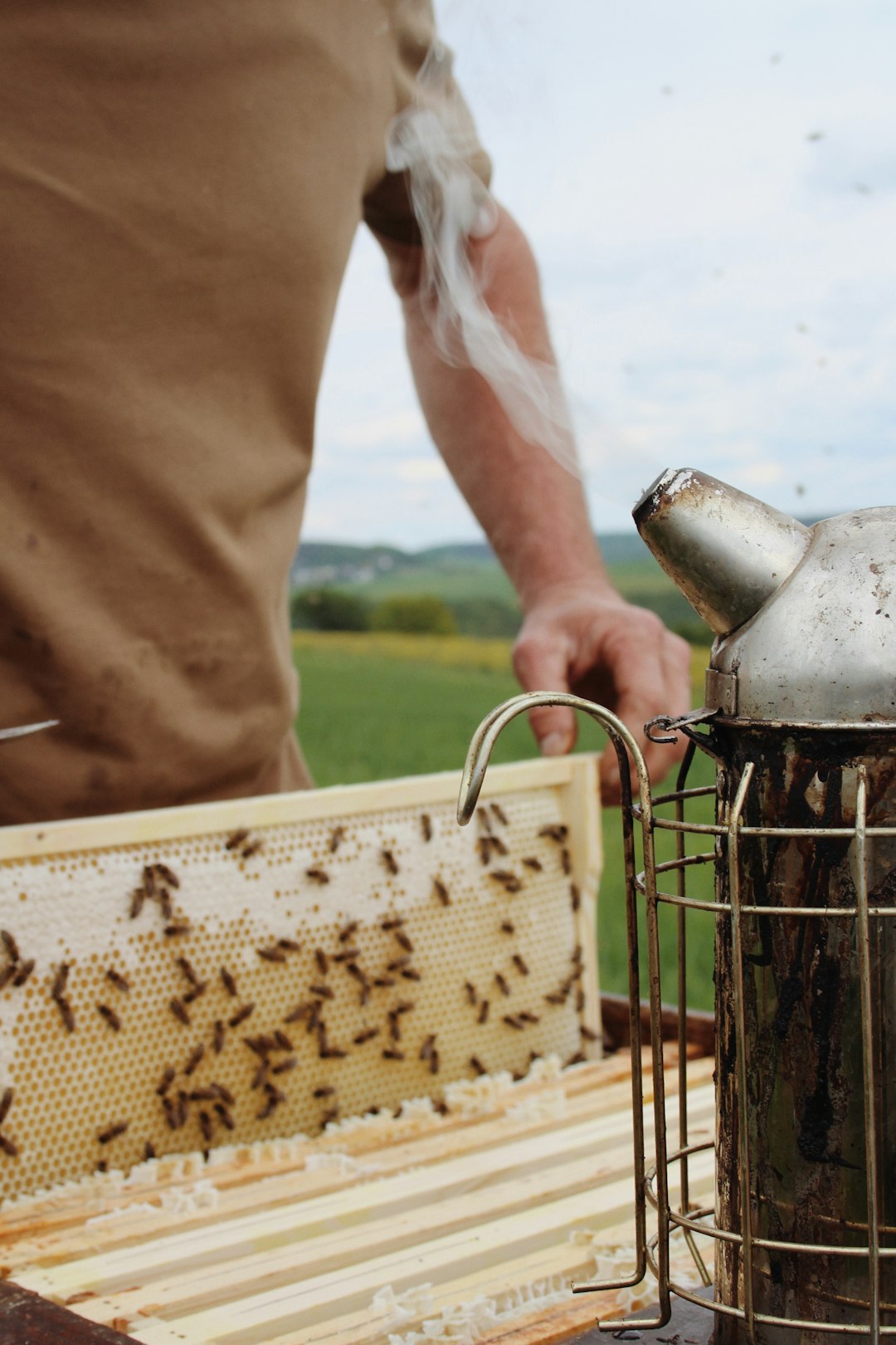 Beekeeper at work with his smoker tool